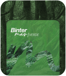 Nivel Verde